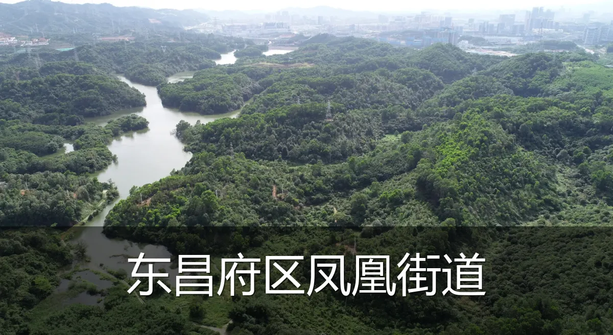 东昌府区凤凰街道