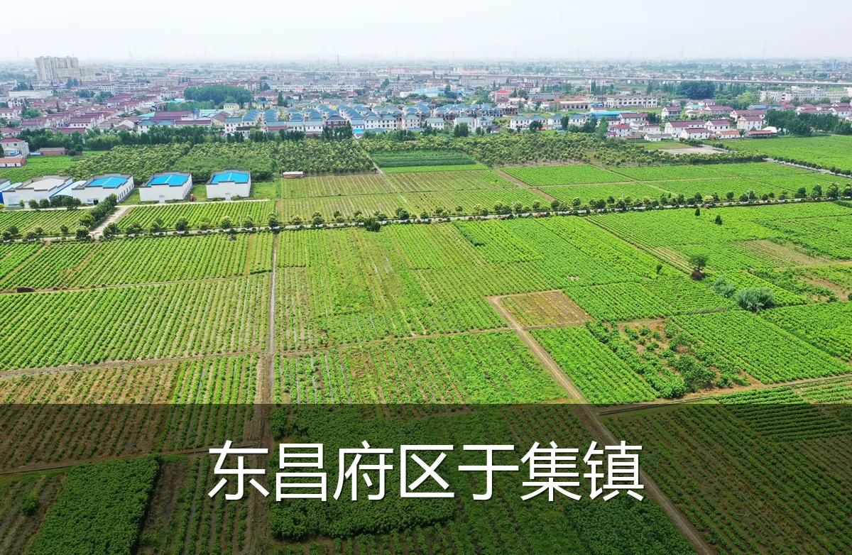 东昌府区于集镇