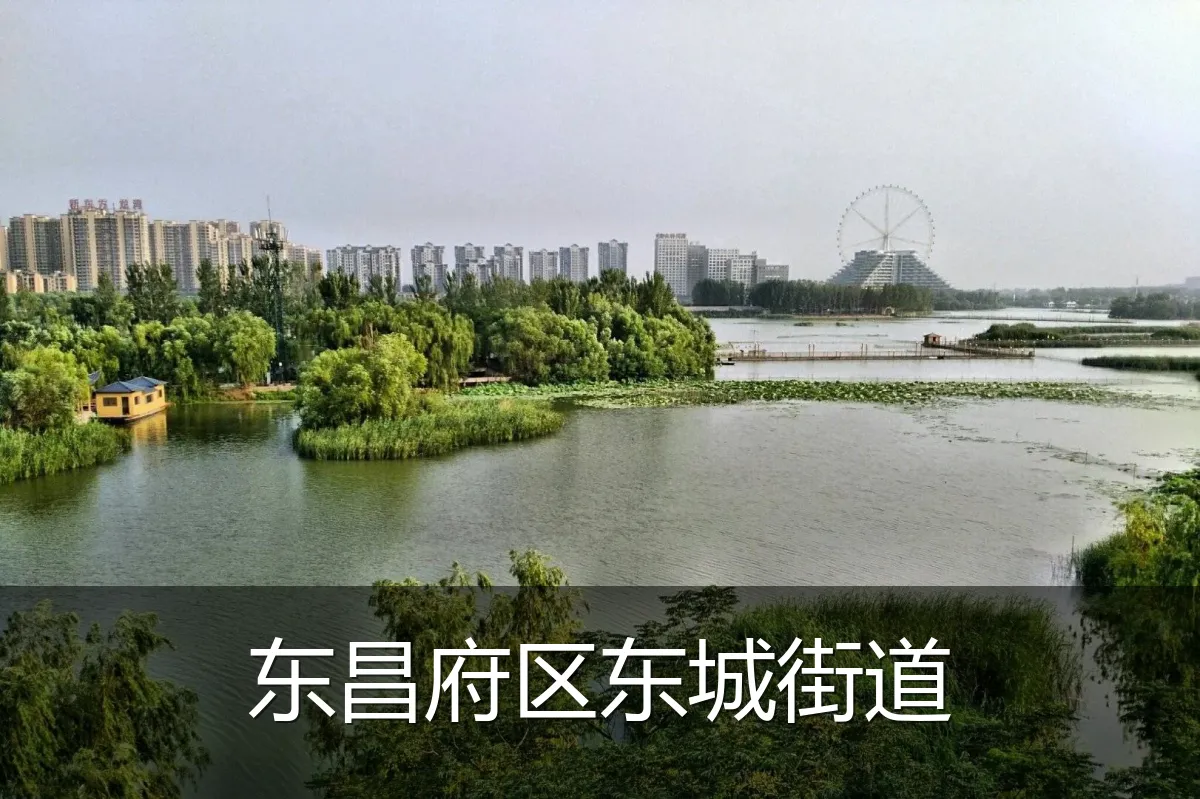 东昌府区东城街道